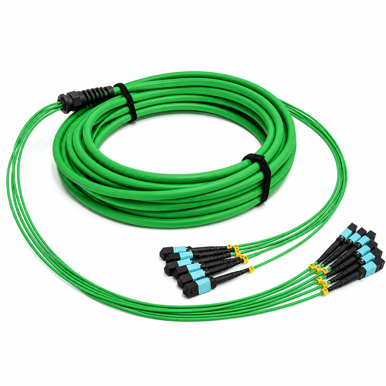 Green high-fiber-count MTP or MPO cable assembly with multiple labeled connector ends