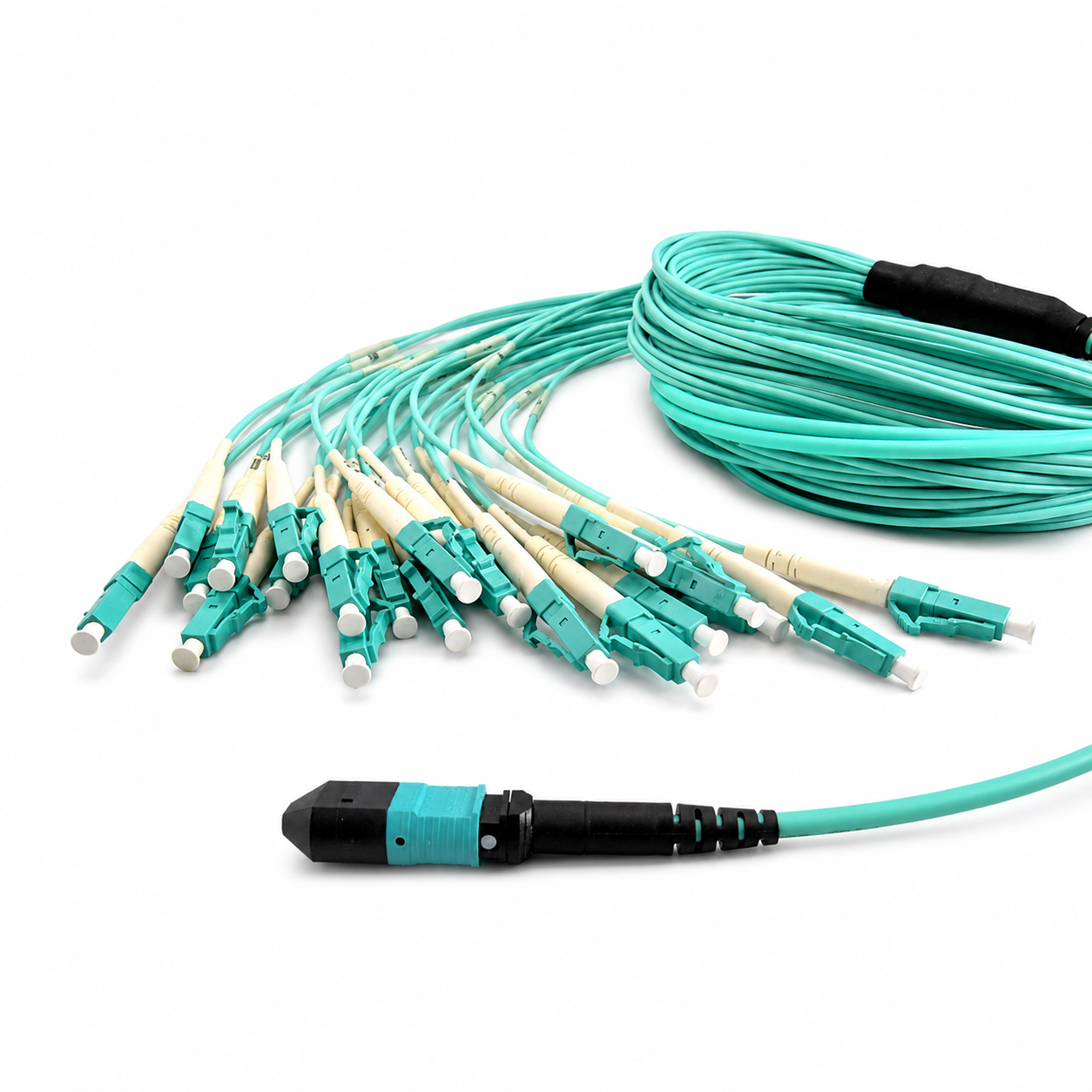 MTP/MPO Hydra & Harness